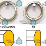 گسکت رینگی RTJ